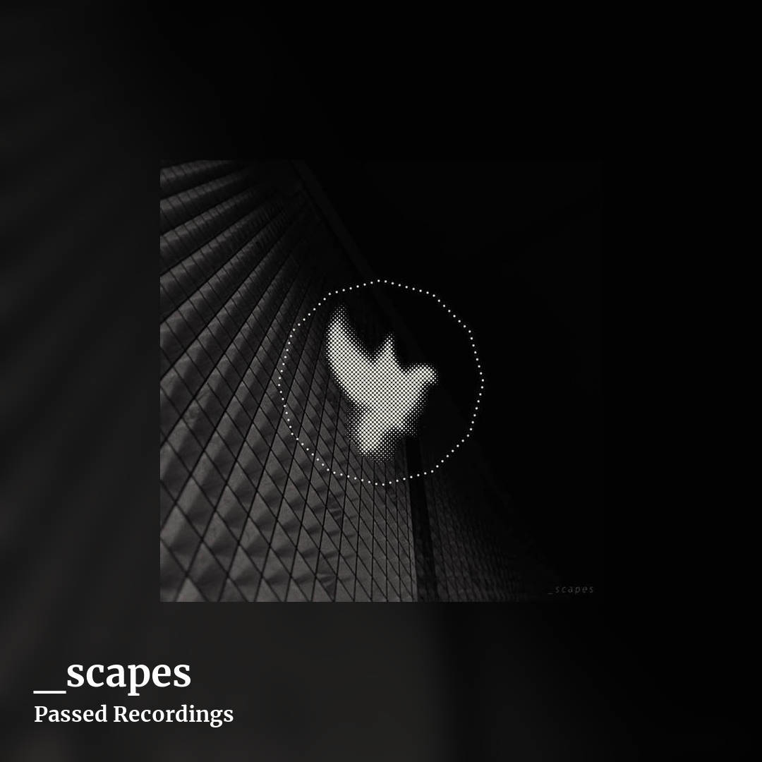 _scapes by Passed Recordings, square clean share image