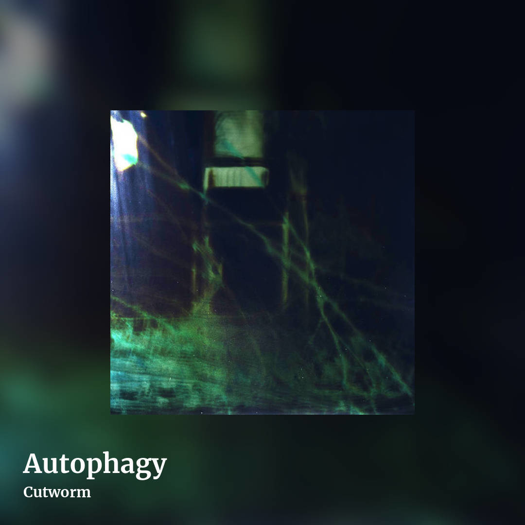Autophagy by Cutworm, square clean share image
