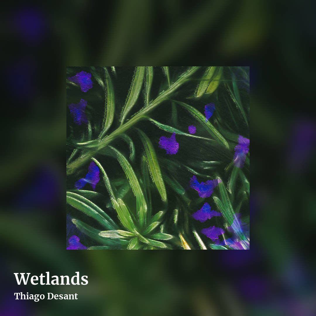 Wetlands by Thiago Desant, square clean share image