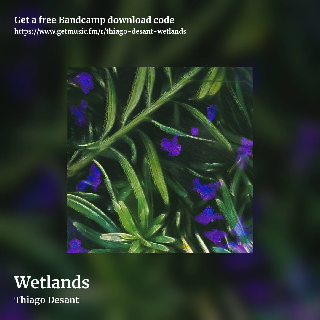 Wetlands by Thiago Desant, square promo share image