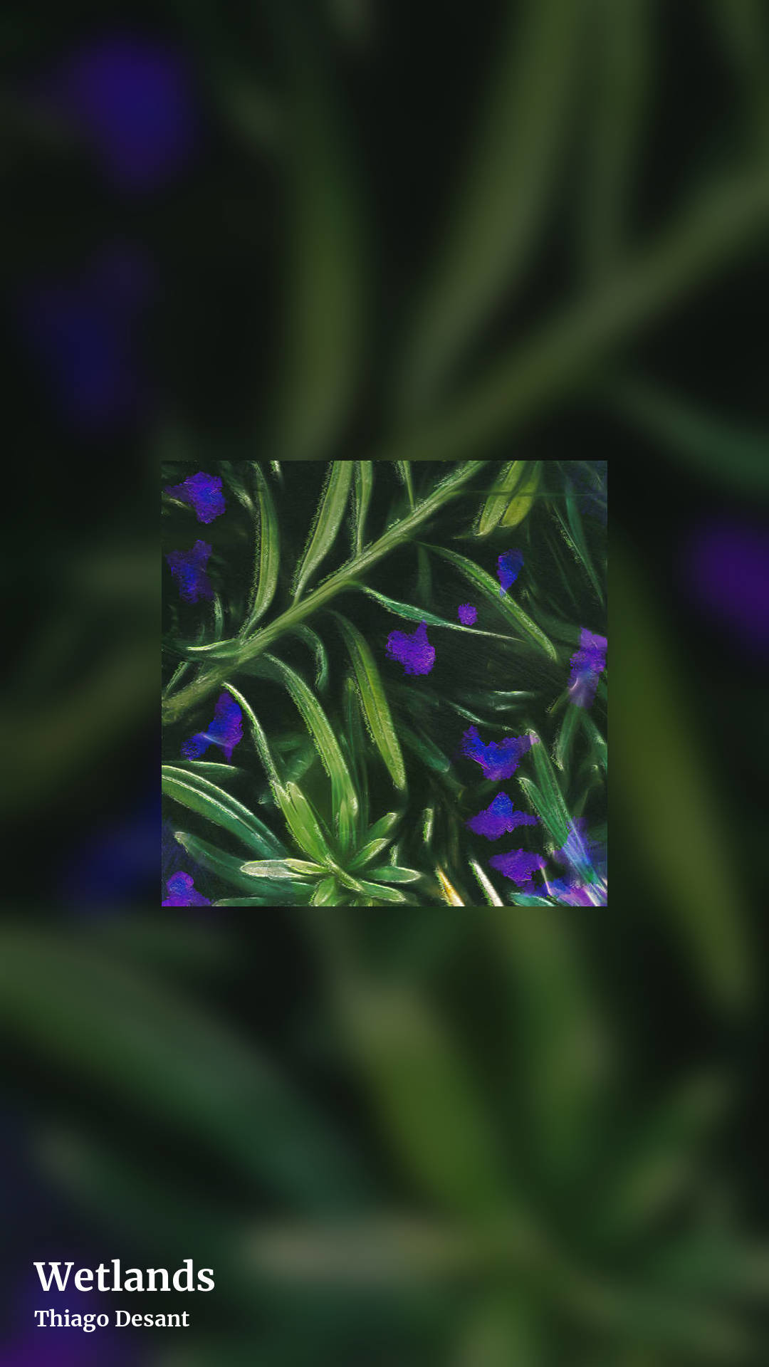 Wetlands by Thiago Desant, story clean share image