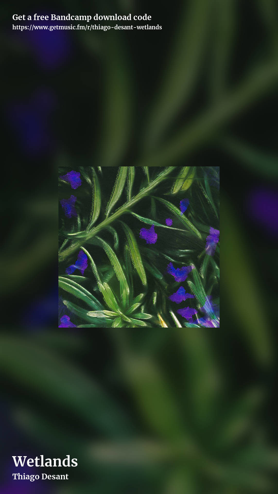 Wetlands by Thiago Desant, story promo share image