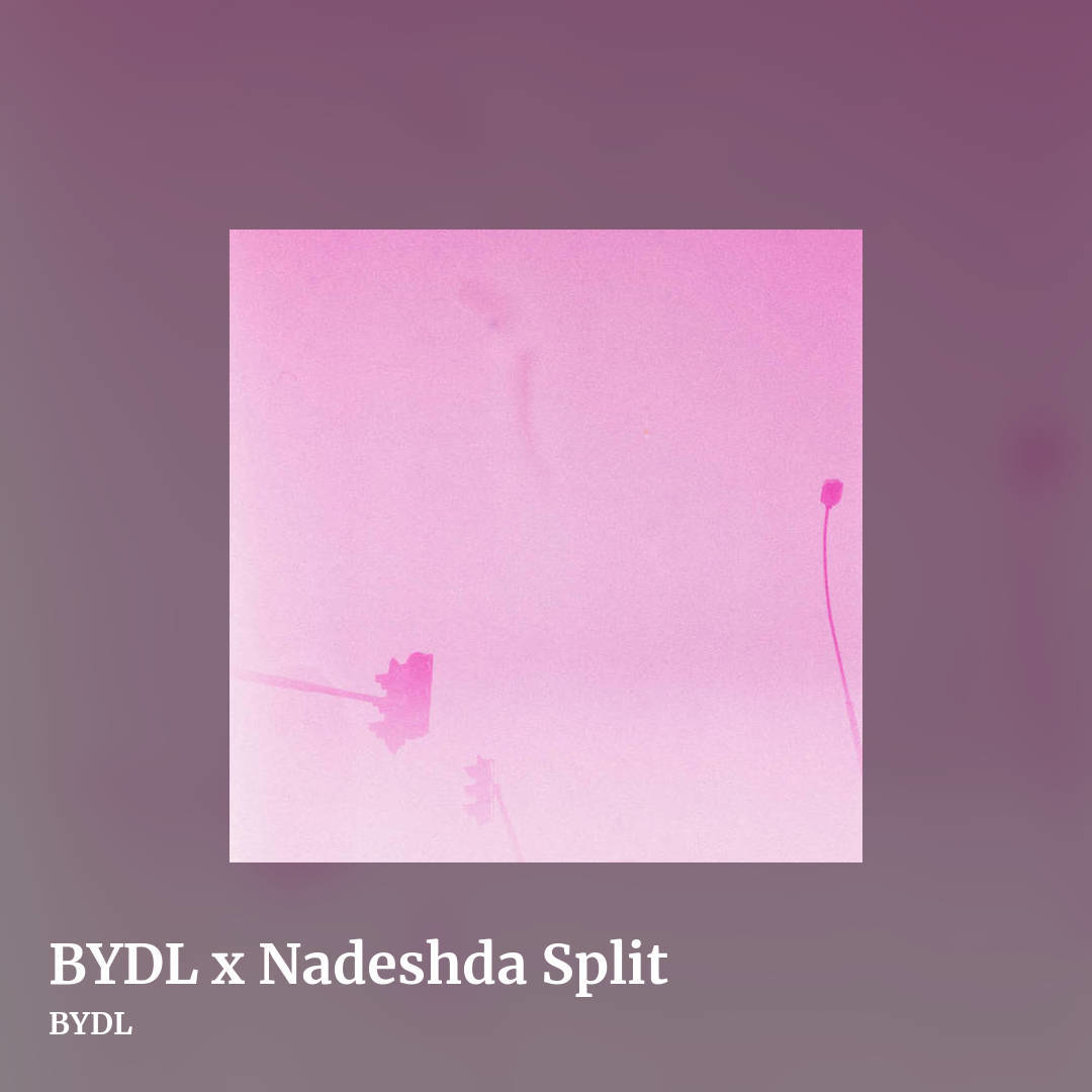 BYDL x Nadeshda Split by BYDL, square clean share image