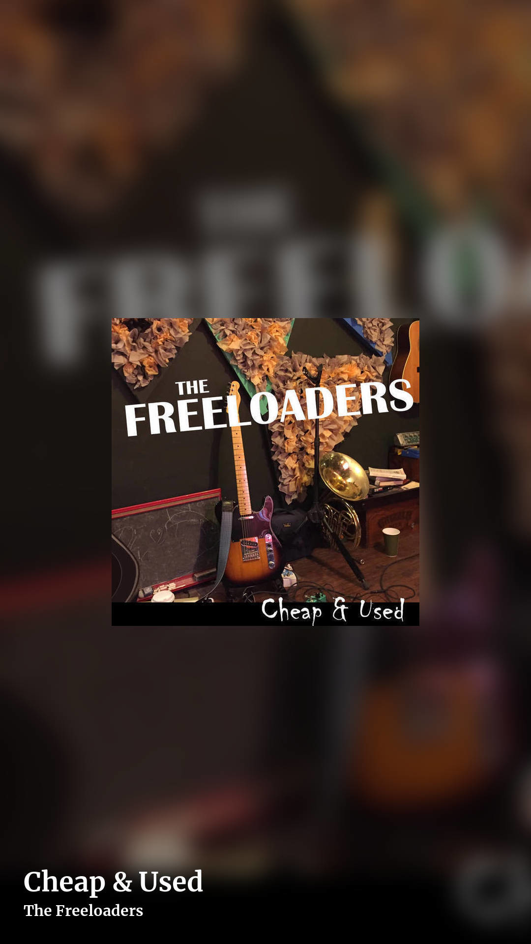 Cheap & Used by The Freeloaders, story clean share image