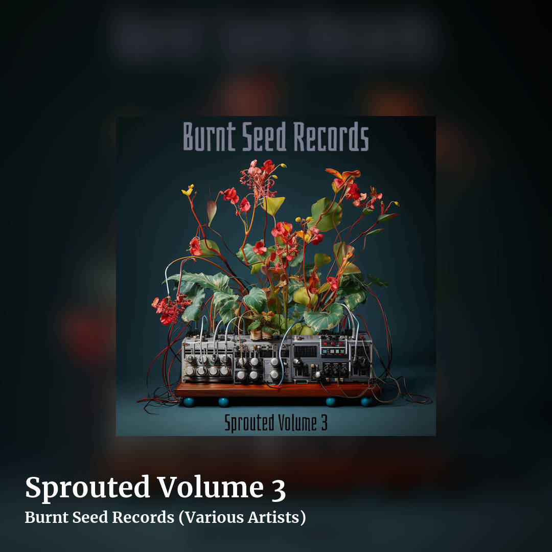 Sprouted Volume 3 by Burnt Seed Records (Various Artists), square clean share image