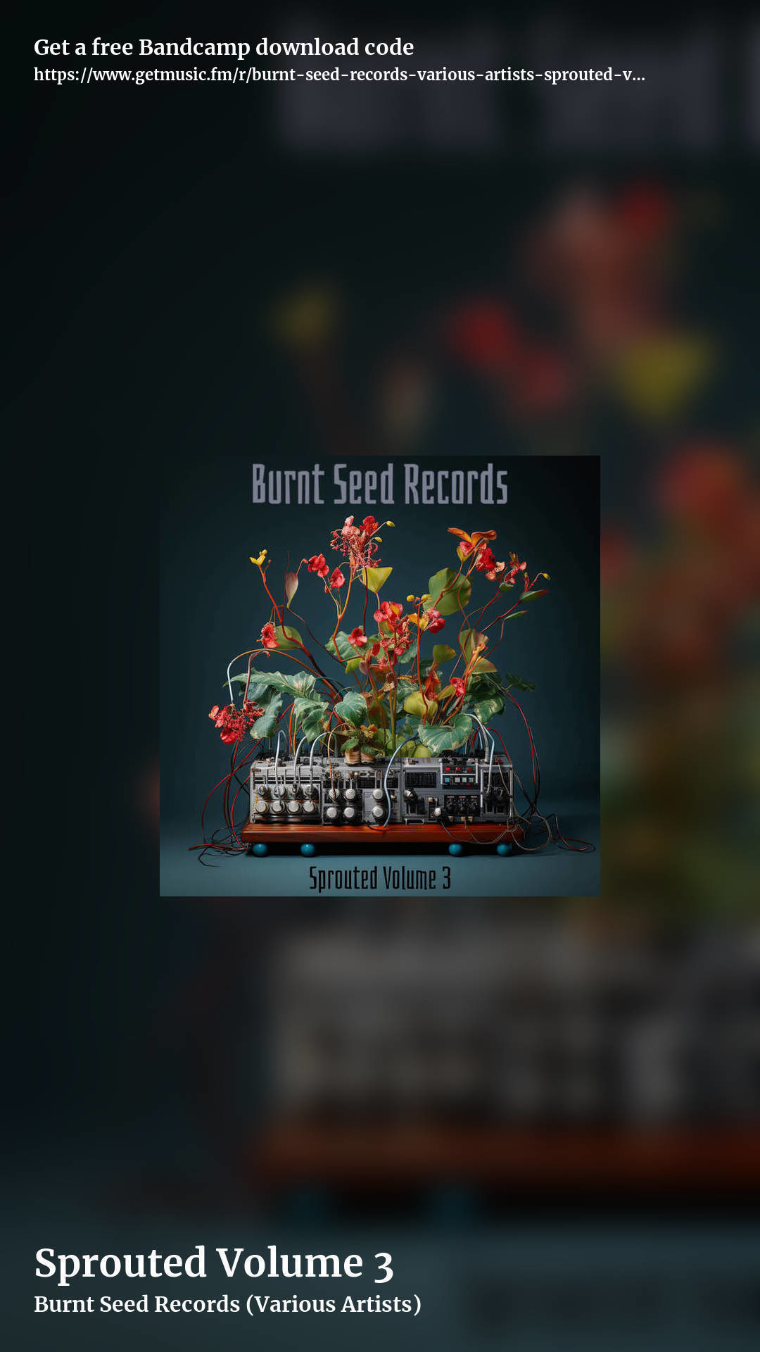 Sprouted Volume 3 by Burnt Seed Records (Various Artists), story promo share image
