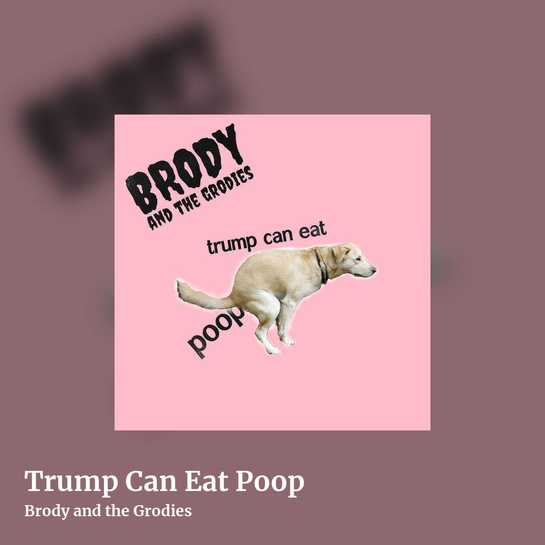 Trump Can Eat Poop by Brody and the Grodies, square clean share image