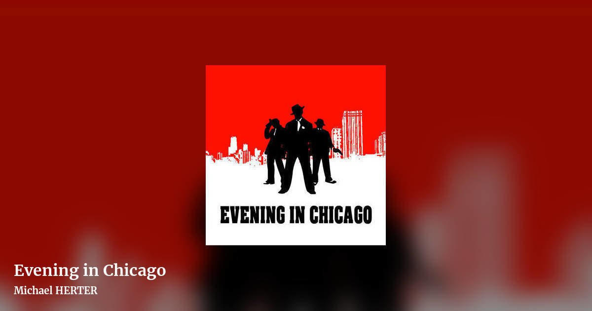 Evening in Chicago by Michael HERTER, landscape clean share image