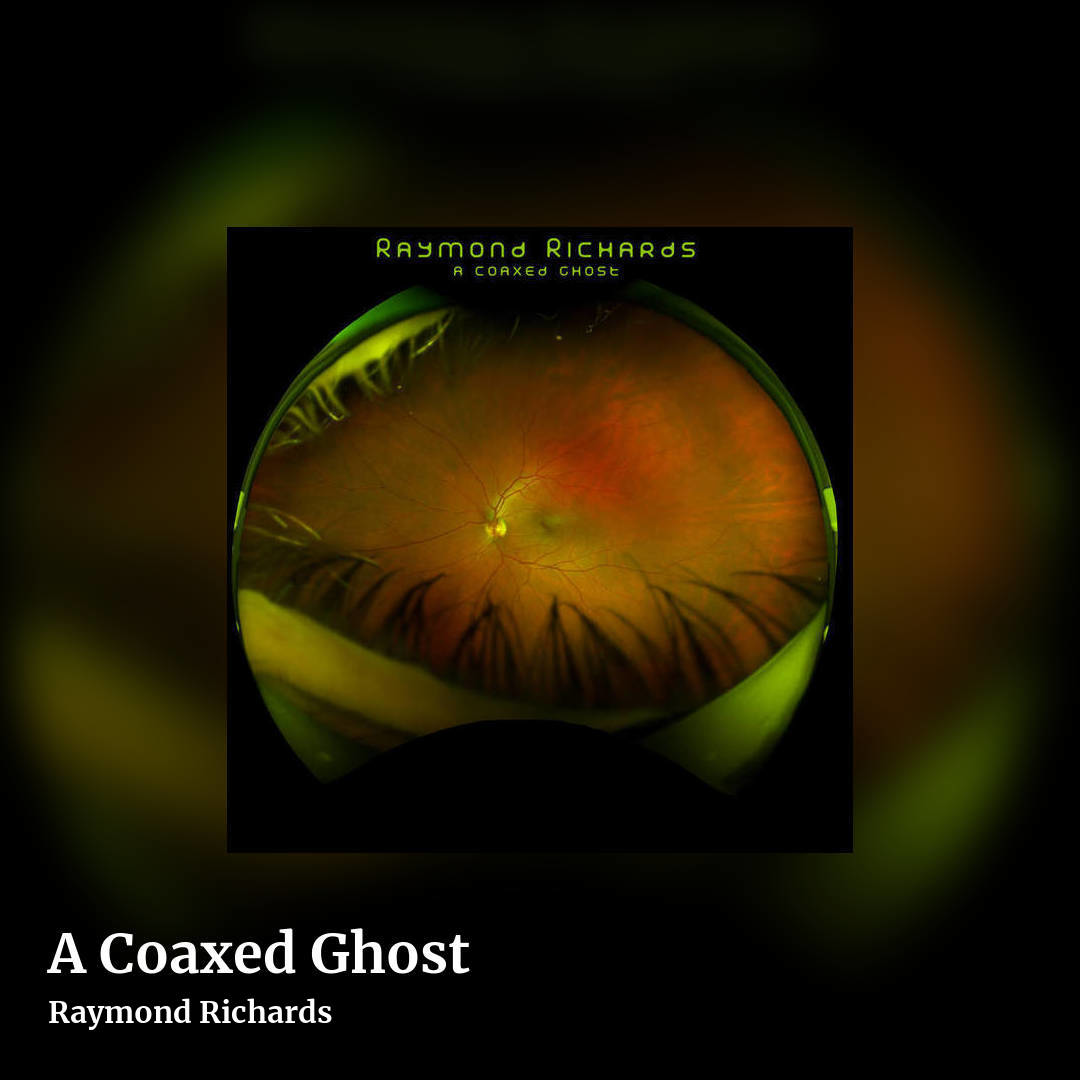 A Coaxed Ghost by Raymond Richards, square clean share image