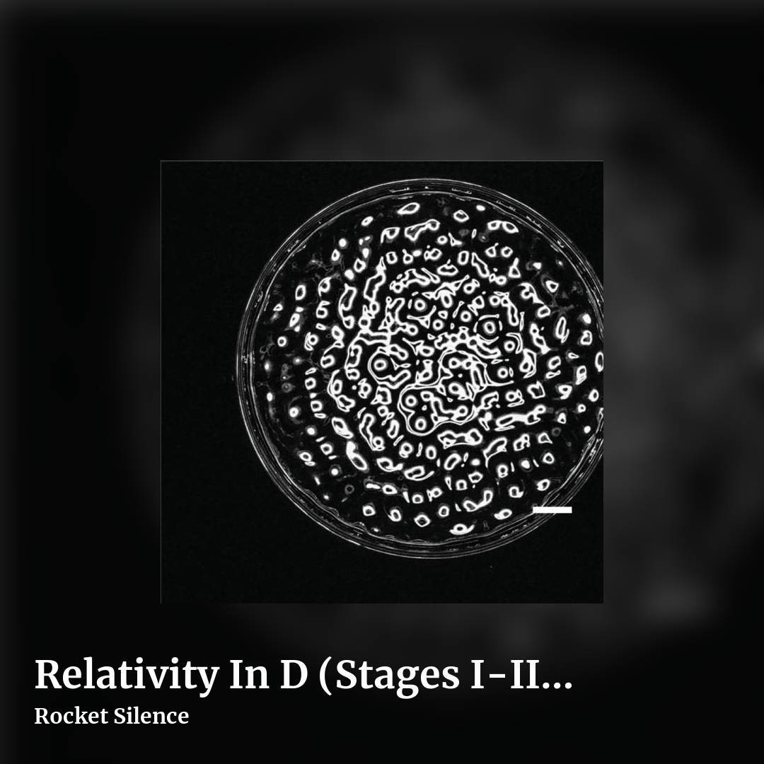 Relativity In D (Stages I-III) by Rocket Silence, square clean share image
