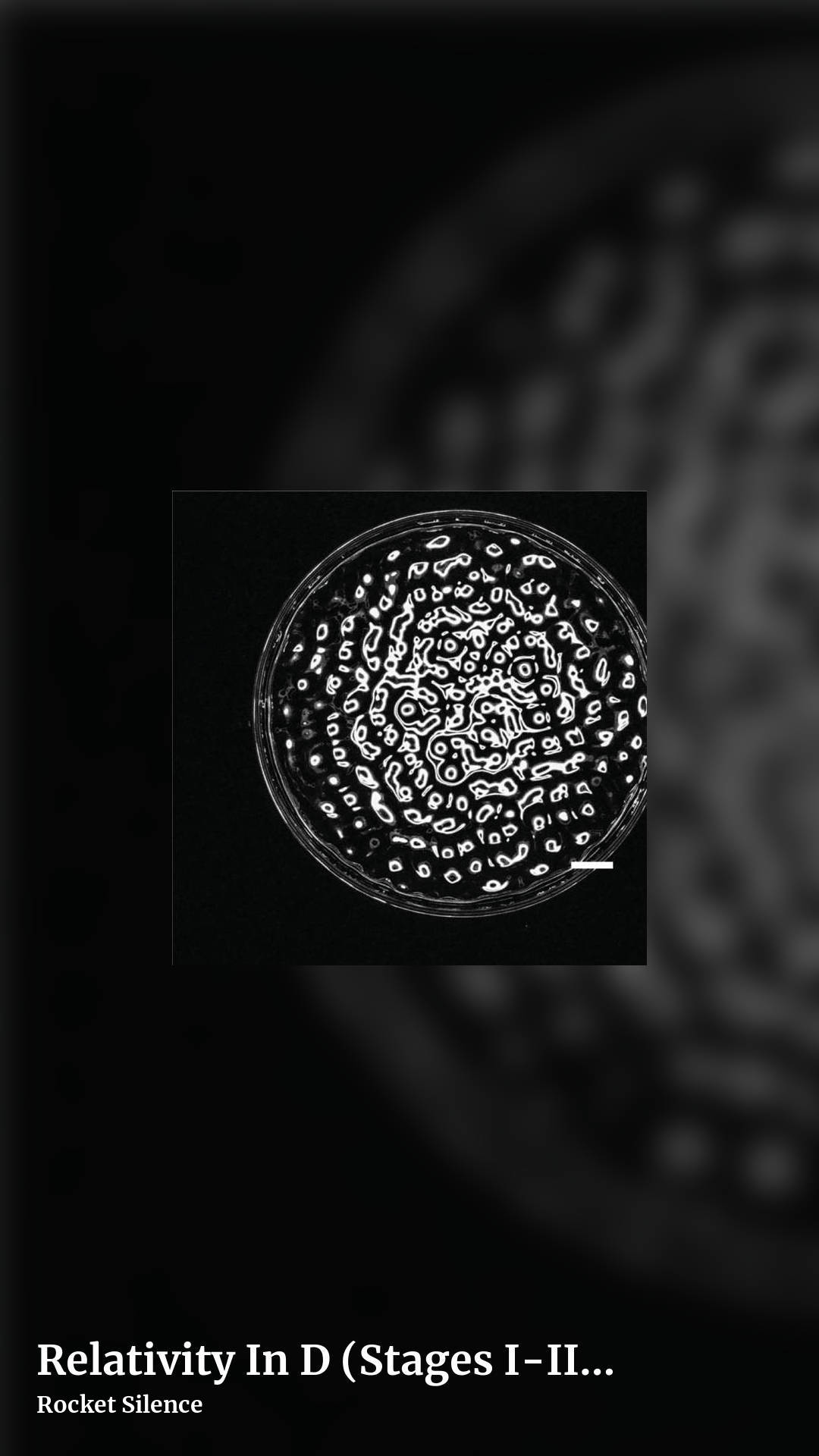 Relativity In D (Stages I-III) by Rocket Silence, story clean share image