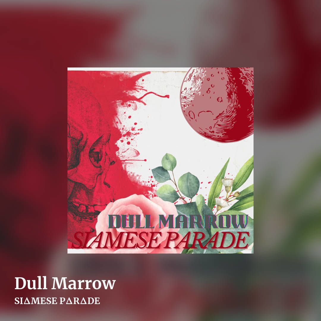 Dull Marrow by SIΔMESE PΔRΔDE, square clean share image