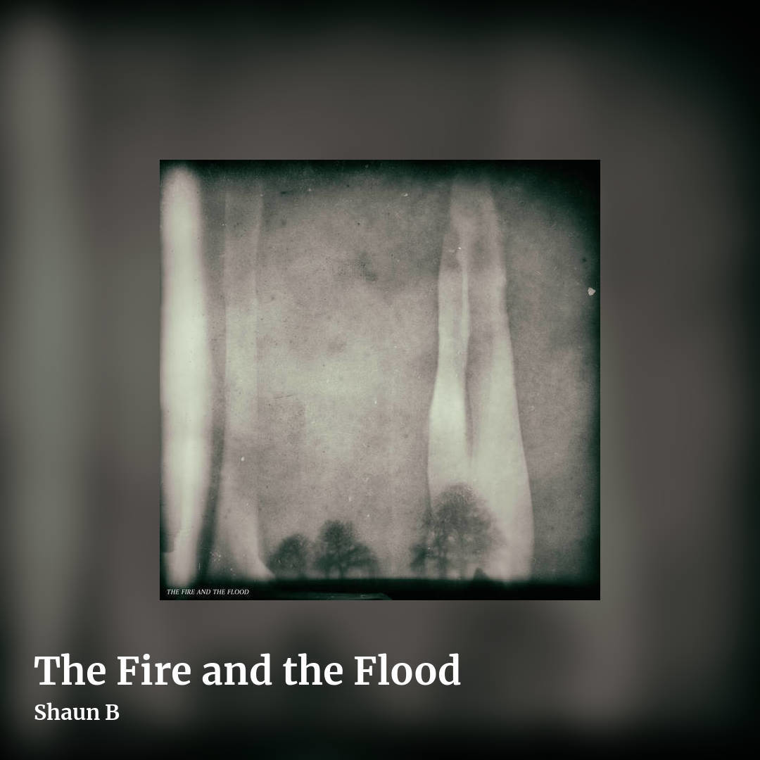 The Fire and the Flood by Shaun B, square clean share image