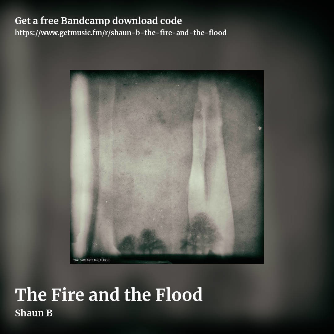 The Fire and the Flood by Shaun B, square promo share image