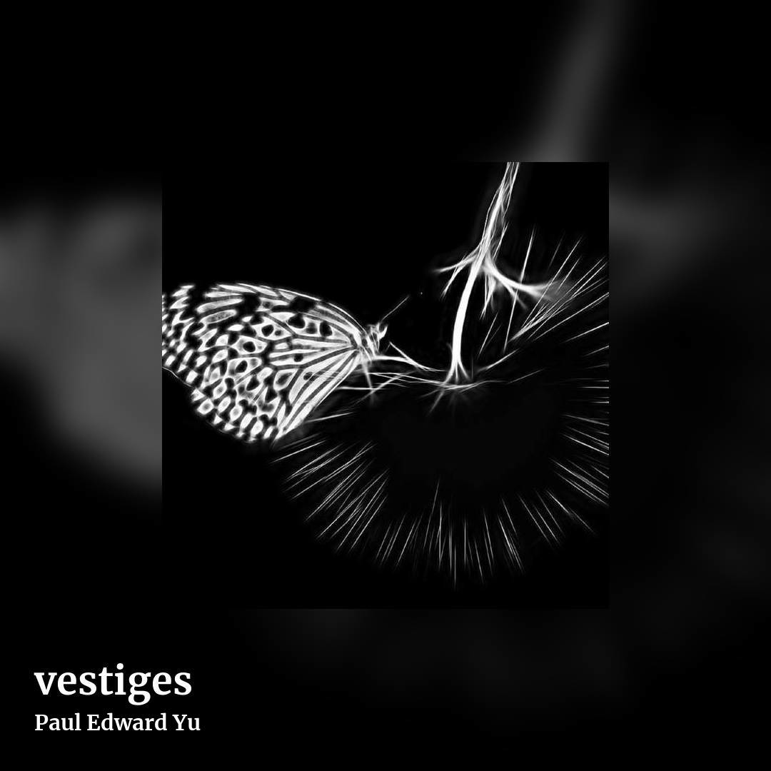 vestiges by Paul Edward Yu, square clean share image