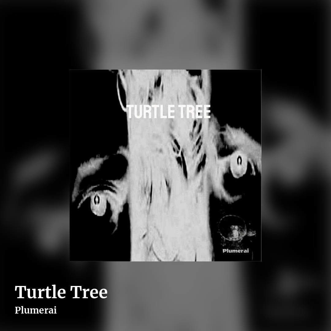 Turtle Tree by Plumerai, square clean share image