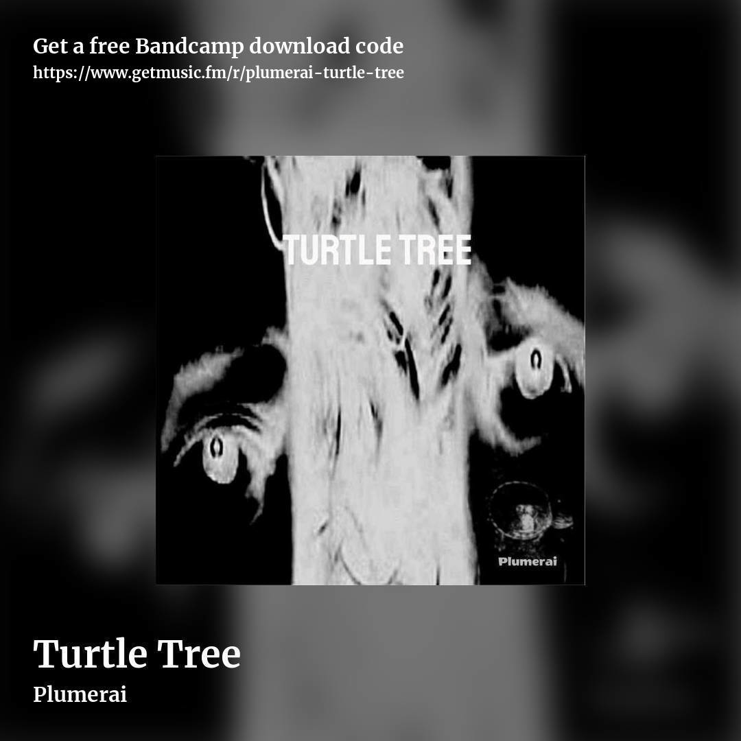 Turtle Tree by Plumerai, square promo share image