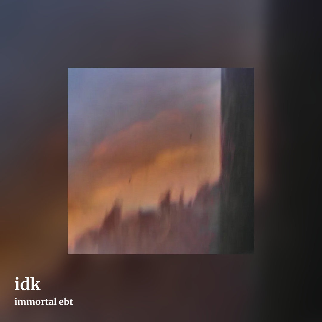 idk by immortal ebt, square clean share image