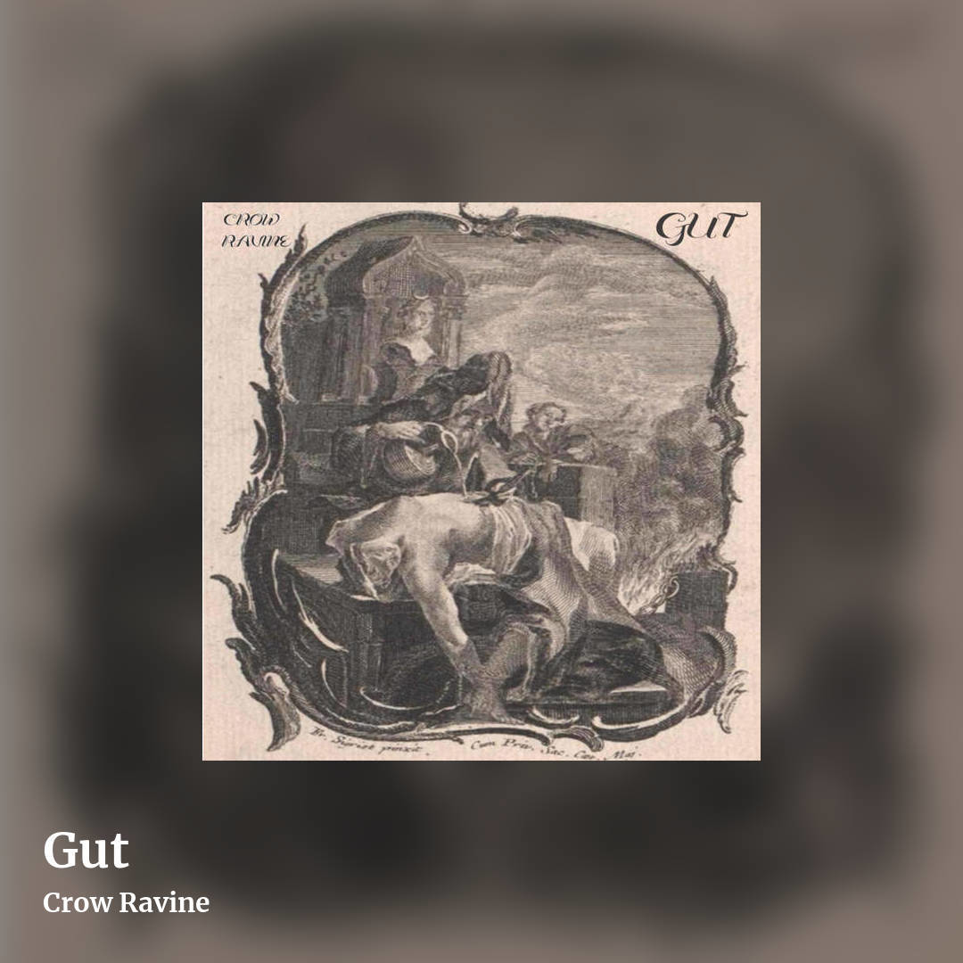 Gut by Crow Ravine, square clean share image