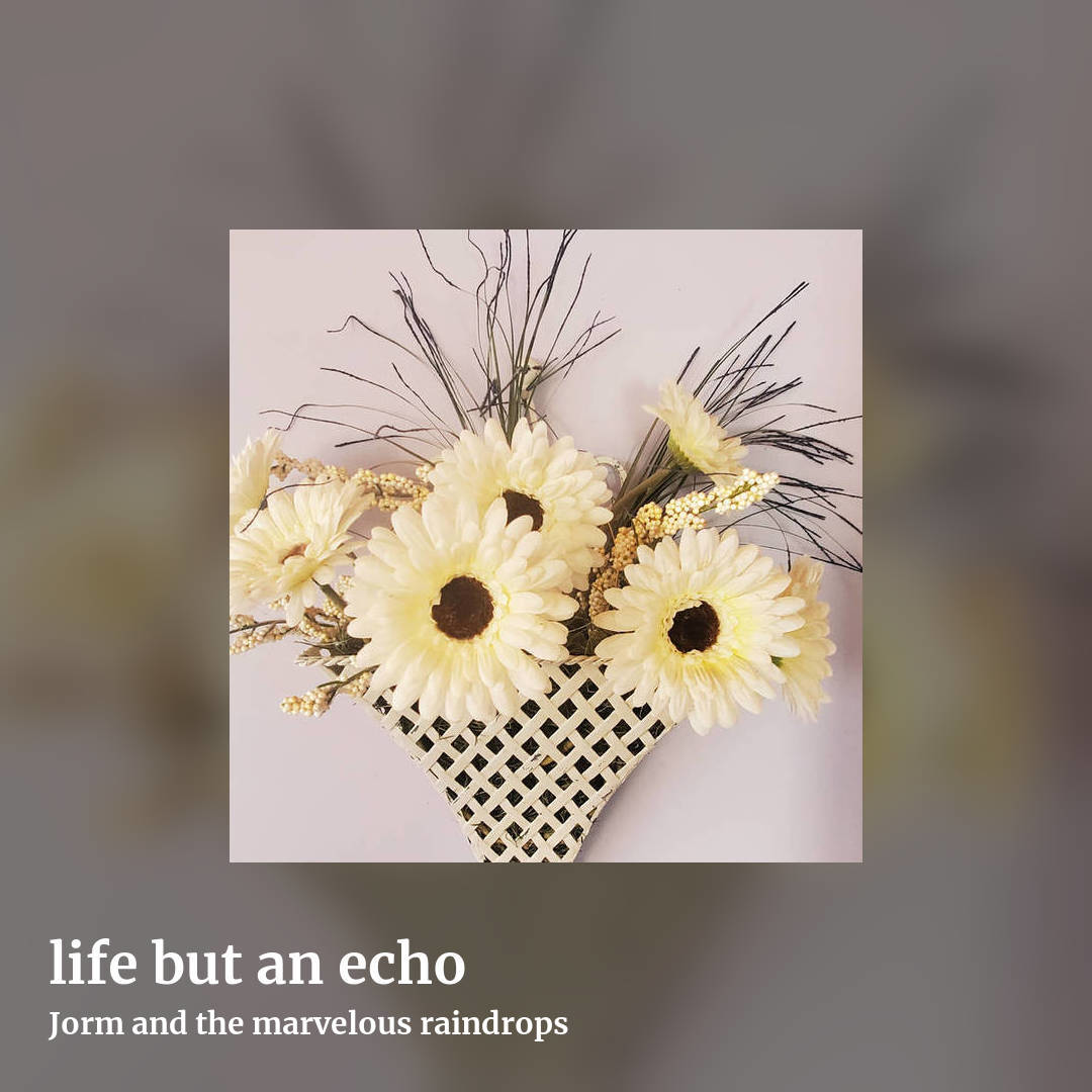 life but an echo by Jorm and the marvelous raindrops, square clean share image