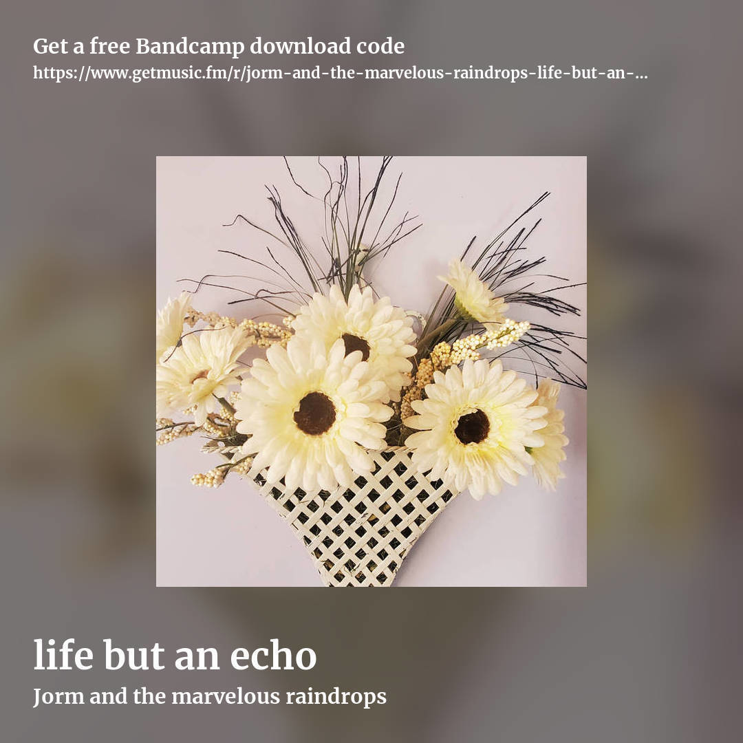 life but an echo by Jorm and the marvelous raindrops, square promo share image