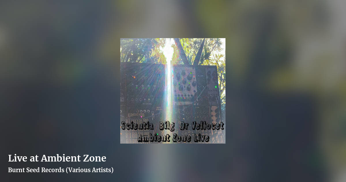 Live at Ambient Zone by Burnt Seed Records (Various Artists), landscape clean share image