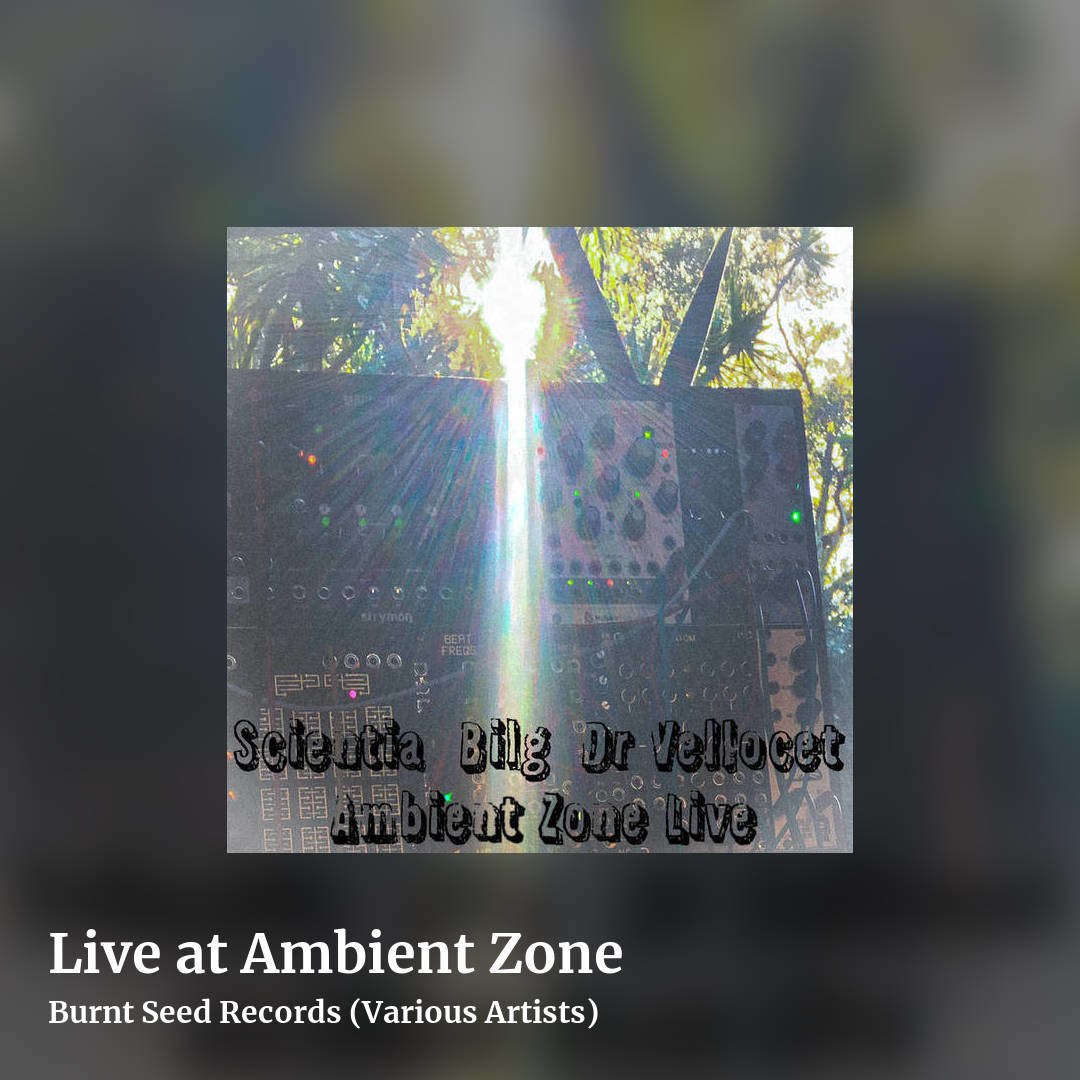 Live at Ambient Zone by Burnt Seed Records (Various Artists), square clean share image