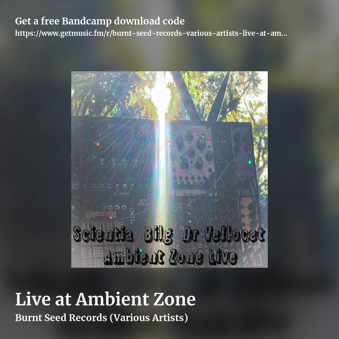 Live at Ambient Zone by Burnt Seed Records (Various Artists), square promo share image