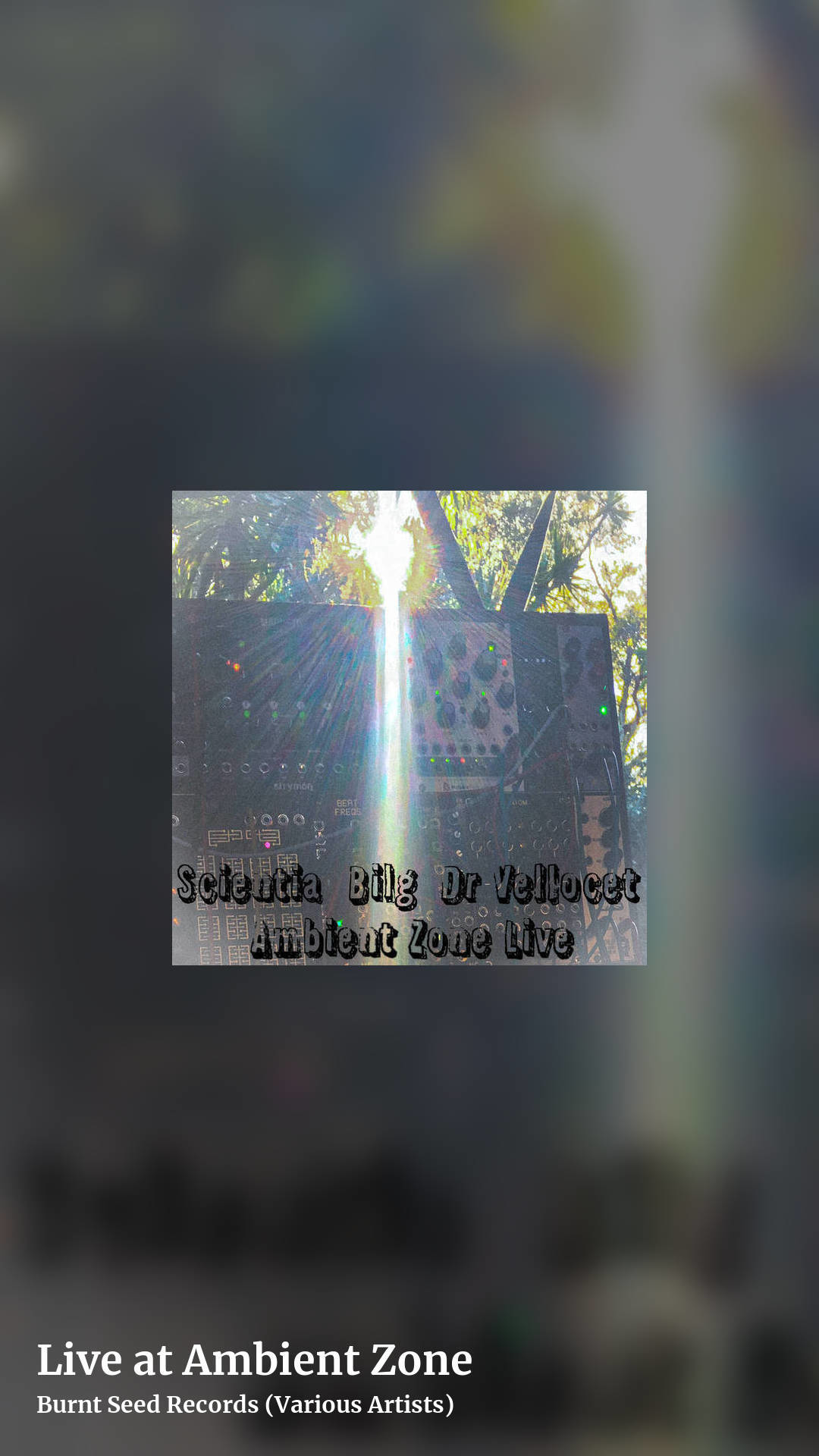 Live at Ambient Zone by Burnt Seed Records (Various Artists), story clean share image