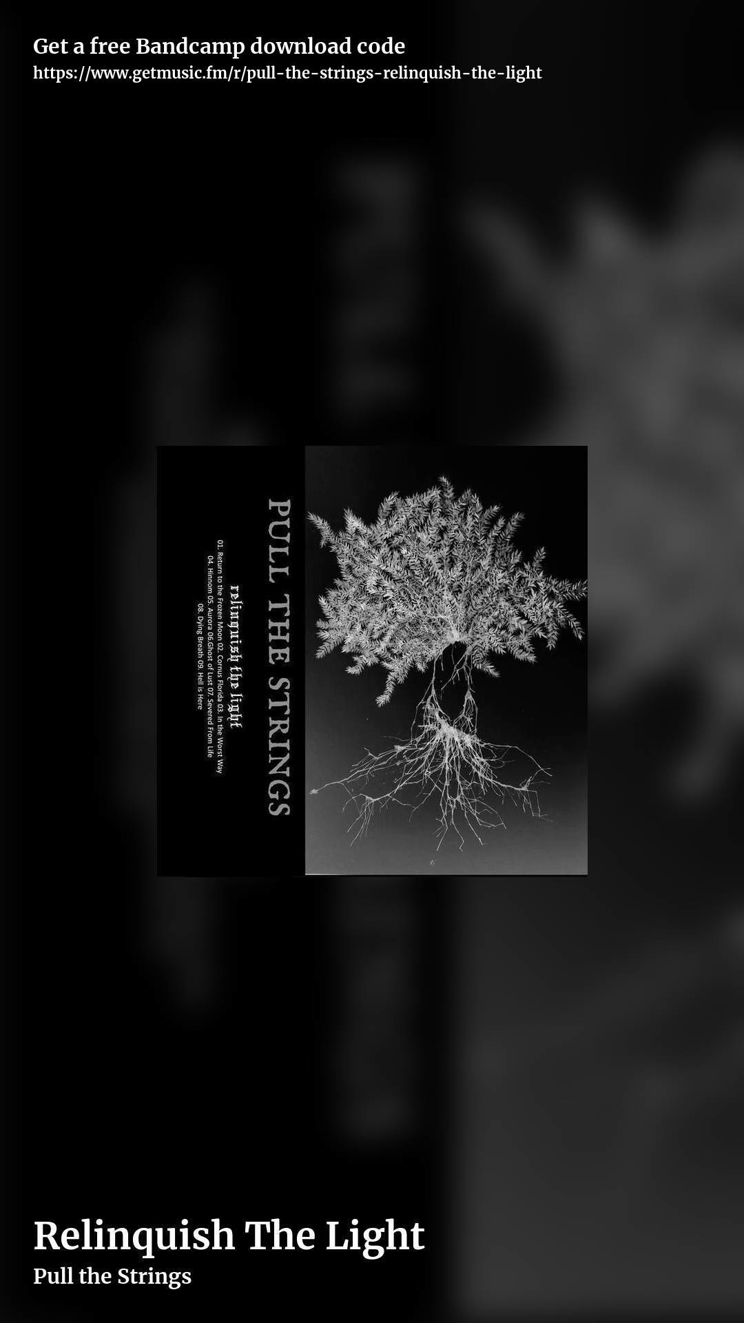 Relinquish The Light by Pull the Strings, story promo share image
