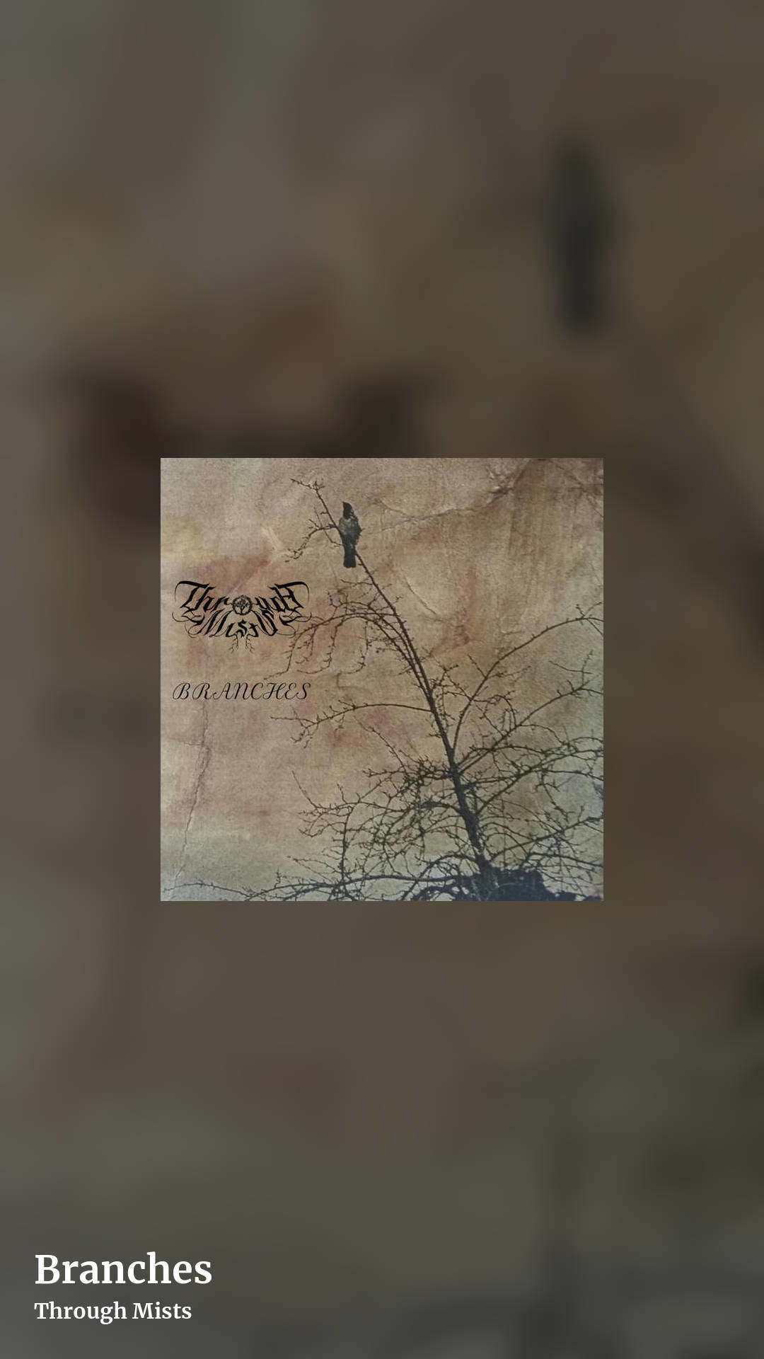 Branches by Through Mists, story clean share image