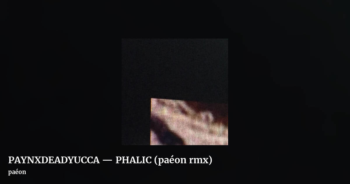PAYNXDEADYUCCA — PHALIC (pa​é​on rmx) by paéon, landscape clean share image