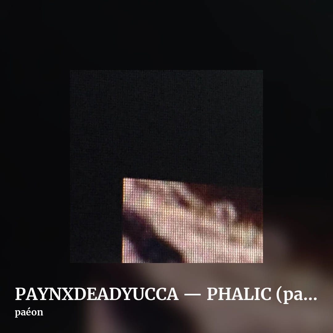 PAYNXDEADYUCCA — PHALIC (pa​é​on rmx) by paéon, square clean share image