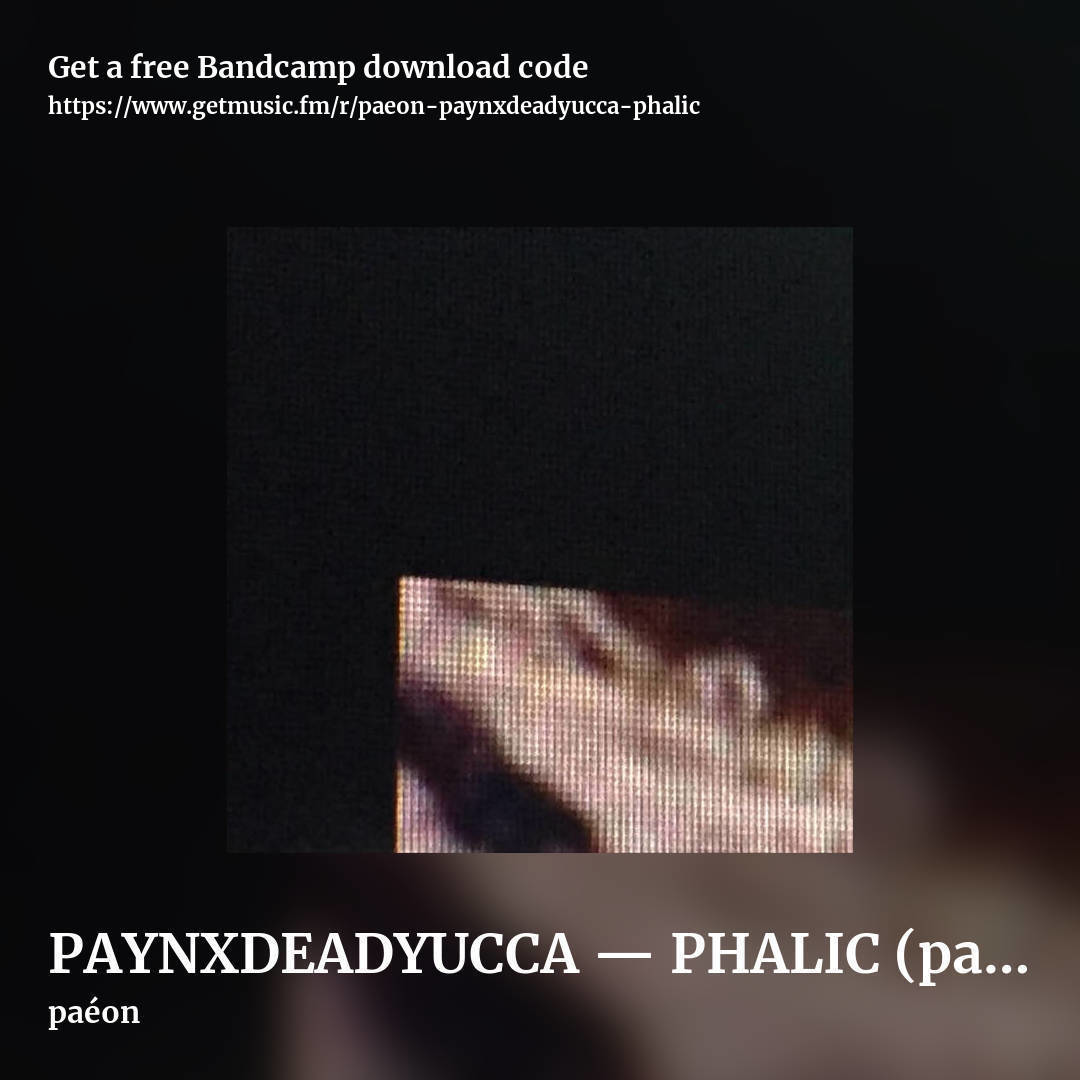 PAYNXDEADYUCCA — PHALIC (pa​é​on rmx) by paéon, square promo share image