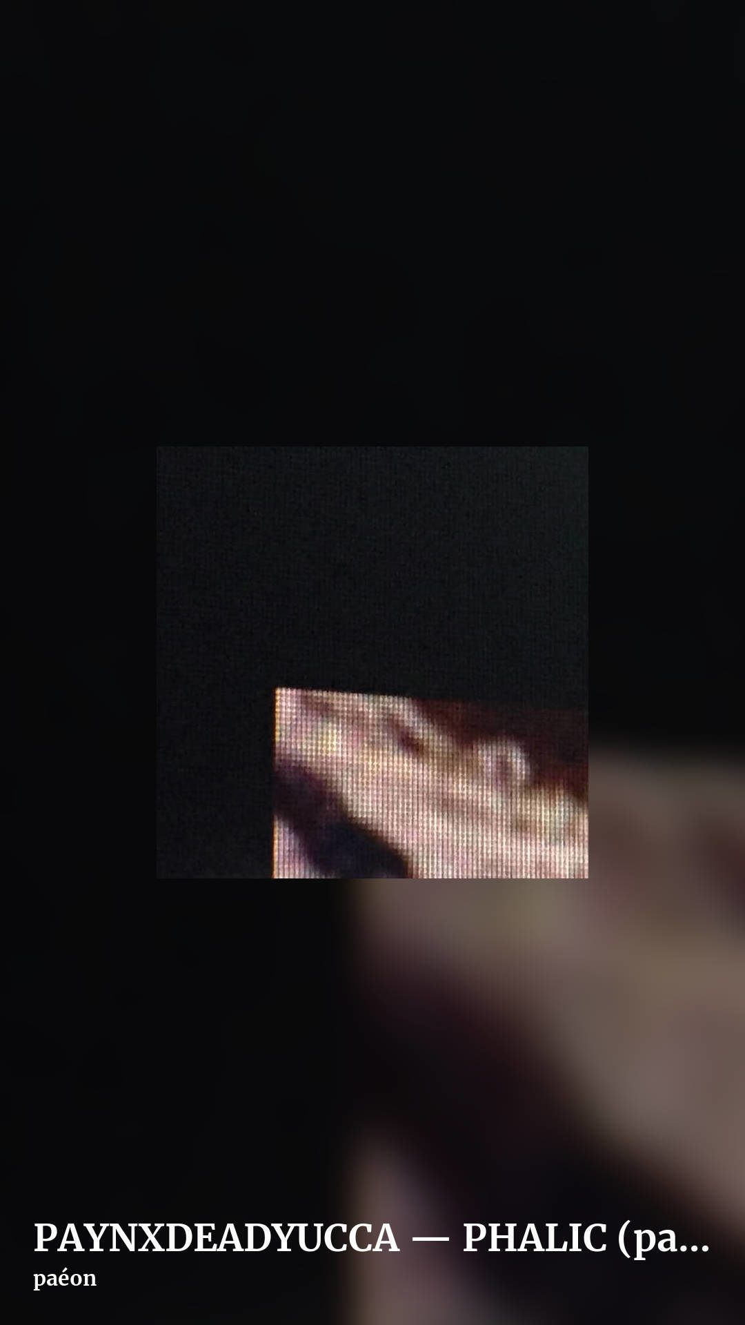 PAYNXDEADYUCCA — PHALIC (pa​é​on rmx) by paéon, story clean share image