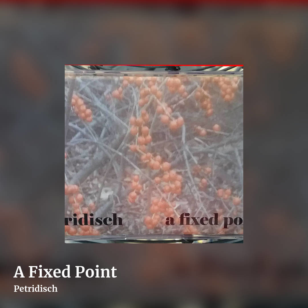 A Fixed Point by Petridisch, square clean share image