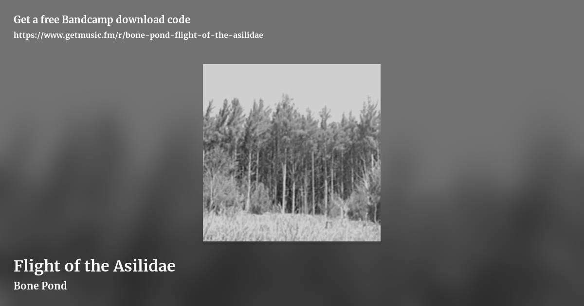 Flight of the Asilidae by Bone Pond, landscape promo share image