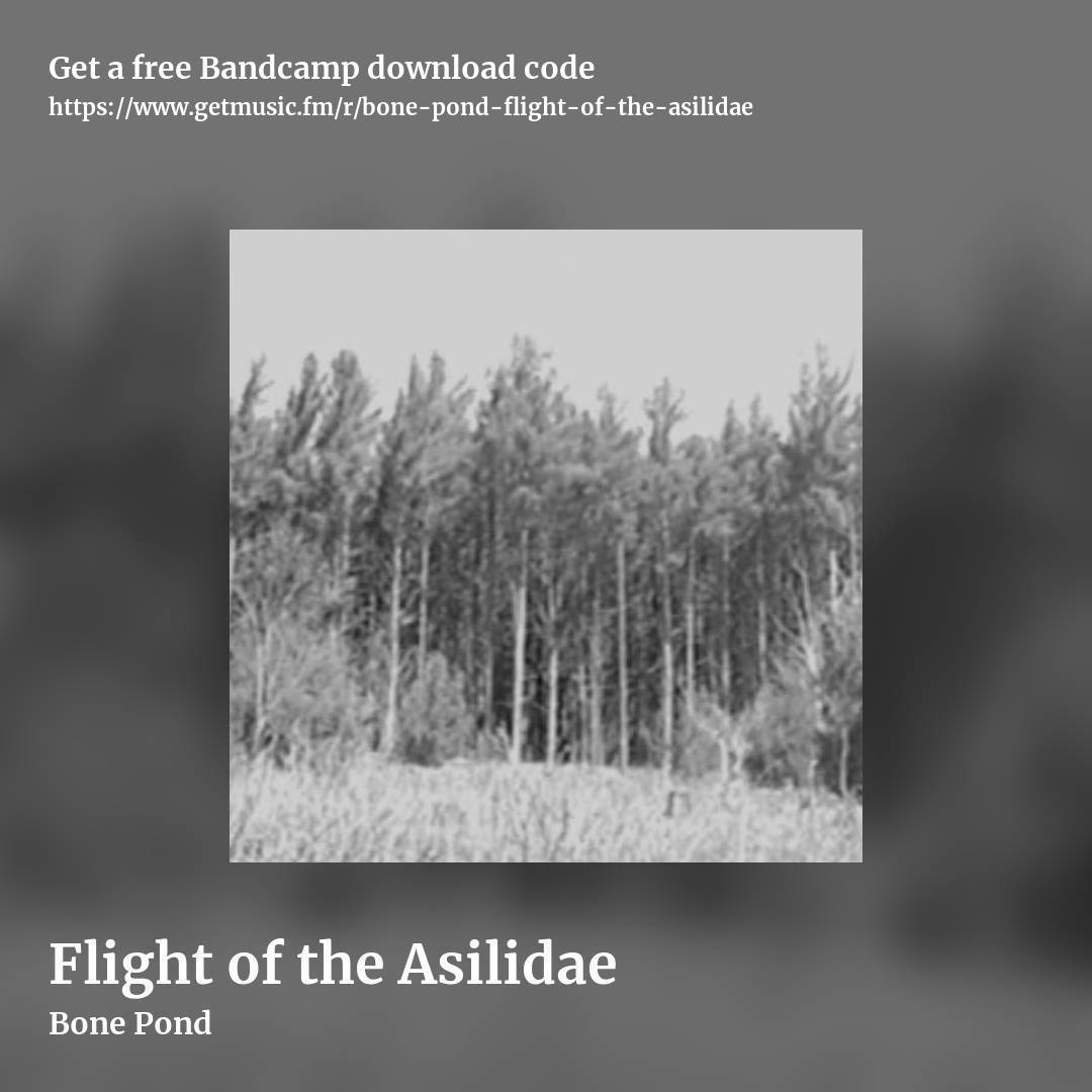 Flight of the Asilidae by Bone Pond, square promo share image