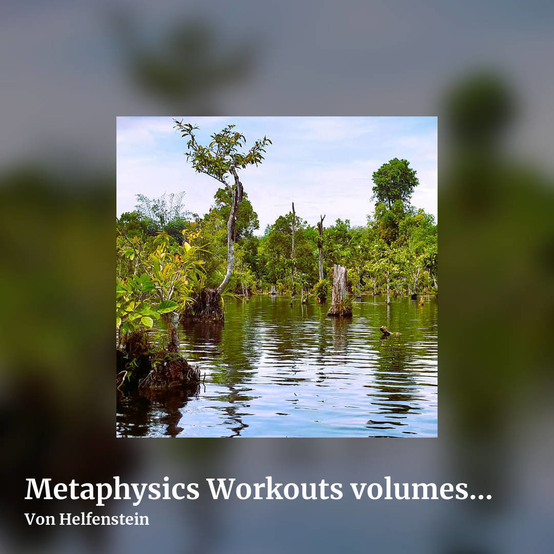 Metaphysics Workouts volumes 1​​​-​​​3 by Von Helfenstein, square clean share image