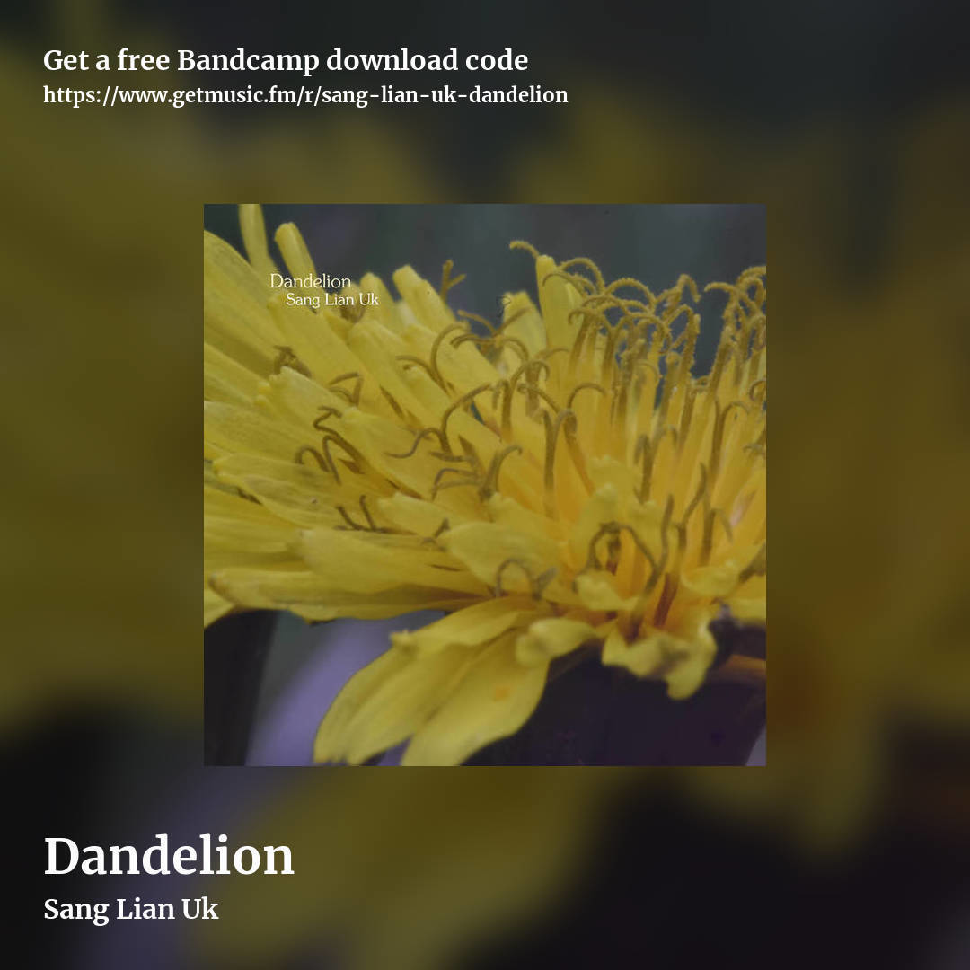 Dandelion by Sang Lian Uk, square promo share image