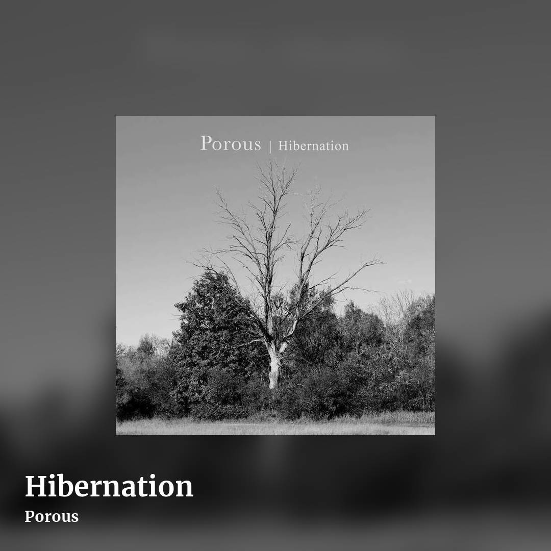 Hibernation by Porous, square clean share image