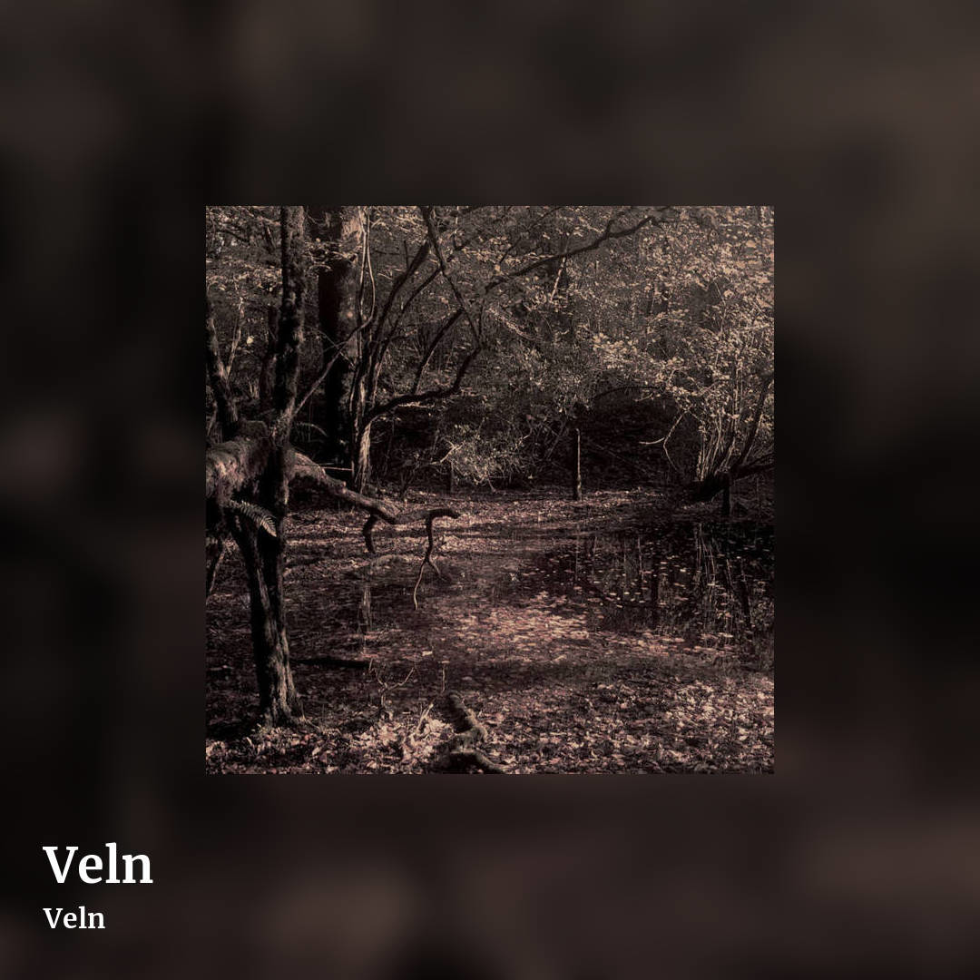 Veln by Veln, square clean share image