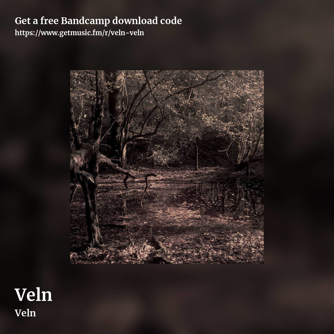 Veln by Veln, square promo share image