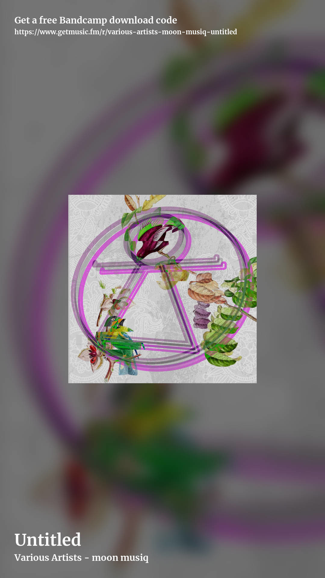 Untitled by Various Artists - moon musiq, story promo share image