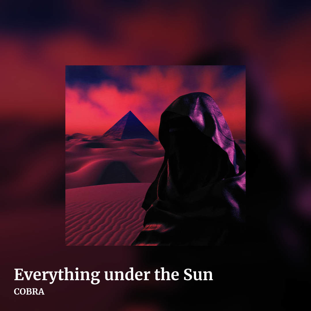 Everything under the Sun by COBRA, square clean share image