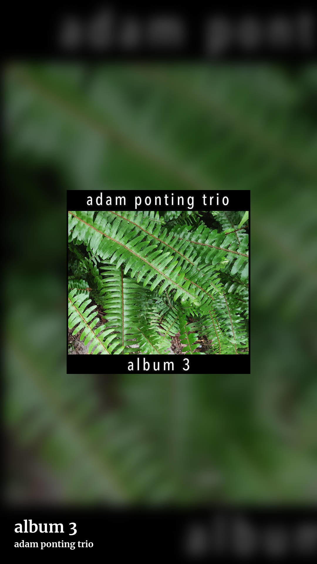 album 3 by adam ponting trio, story clean share image