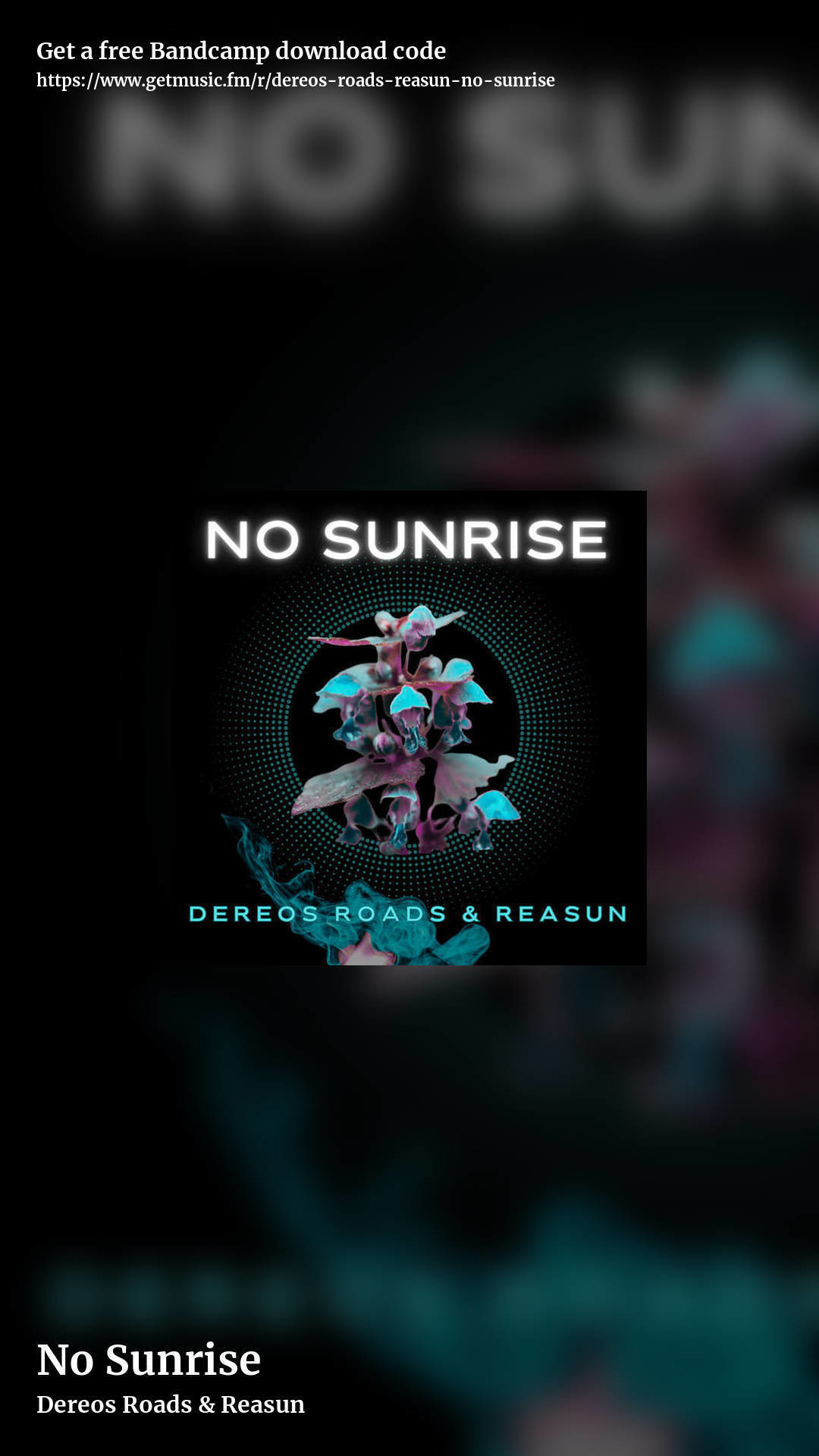 No Sunrise by Dereos Roads & Reasun, story promo share image