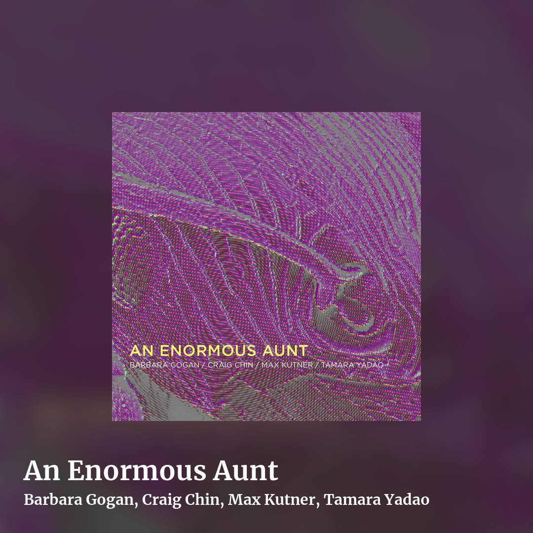 An Enormous Aunt by Barbara Gogan, Craig Chin, Max Kutner, Tamara Yadao, square clean share image
