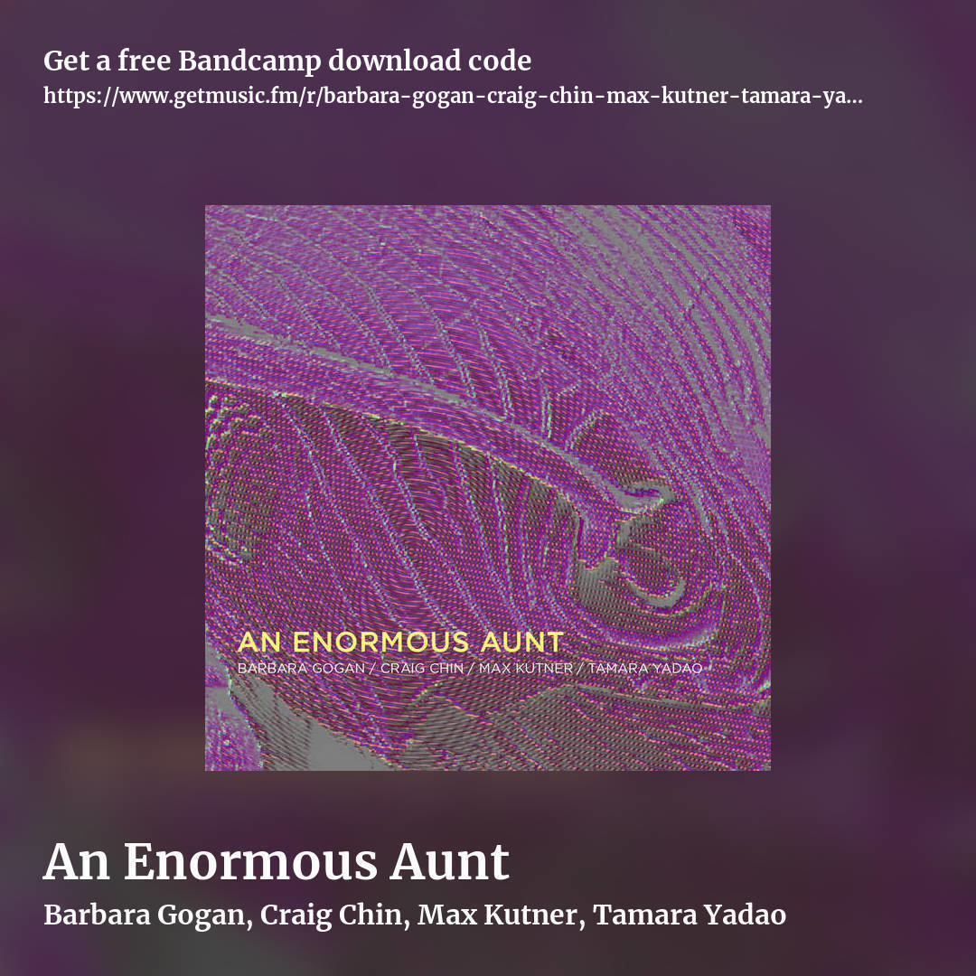 An Enormous Aunt by Barbara Gogan, Craig Chin, Max Kutner, Tamara Yadao, square promo share image