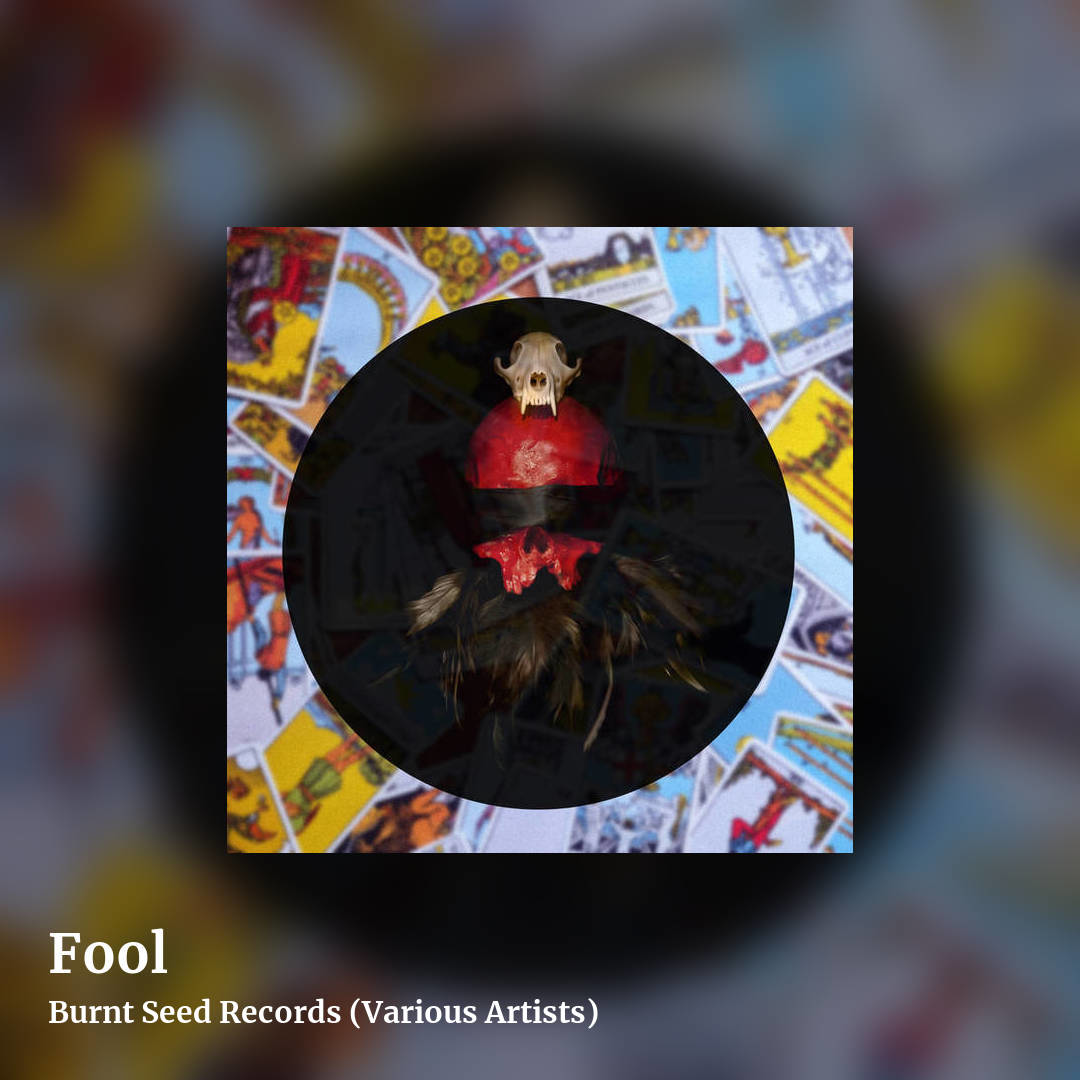 Fool by Burnt Seed Records (Various Artists), square clean share image